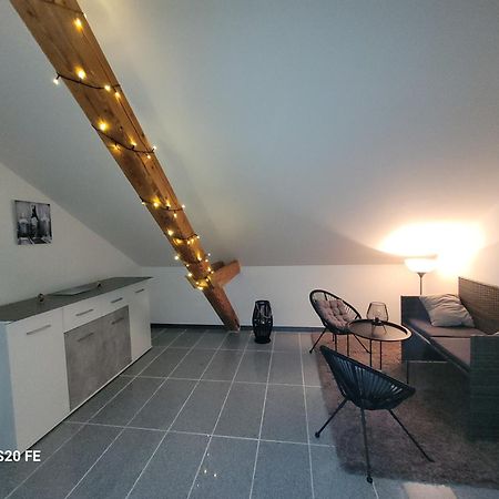 Penthouse N74 Linz 120 Qm Kids Welcome! Dış mekan fotoğraf