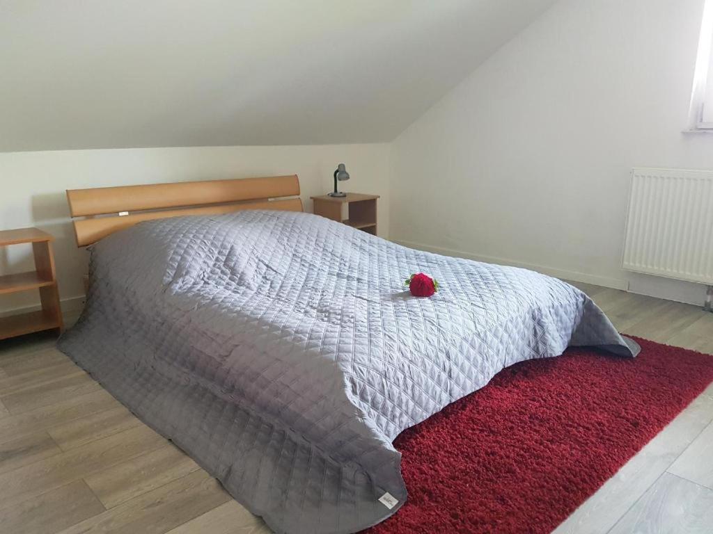 Penthouse N74 Linz 120 Qm Kids Welcome! Dış mekan fotoğraf